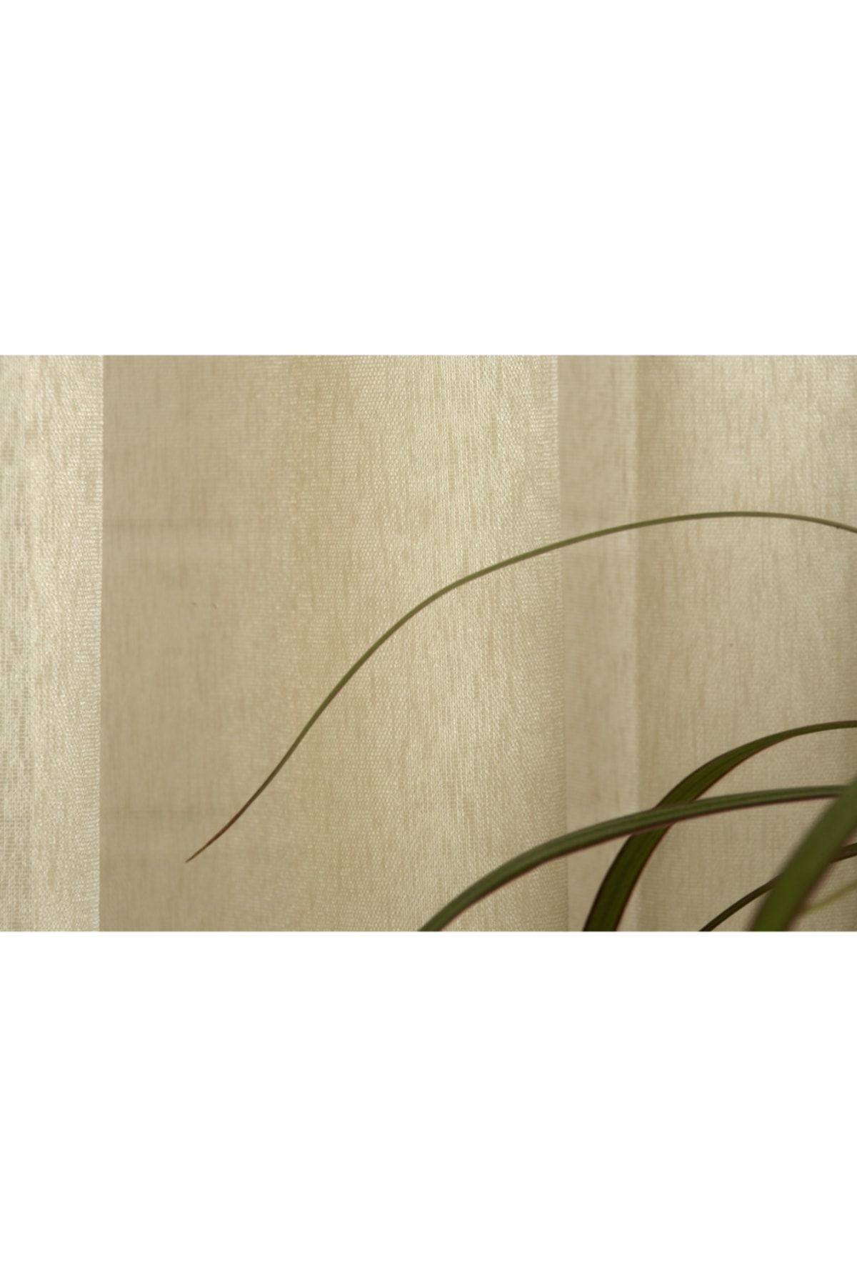 Massarelli Fantezi Sable Tül Kum Rengi 1-3 Sık Pile